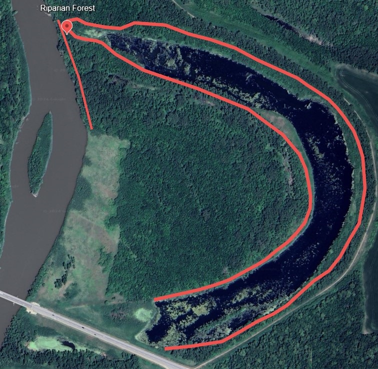 Riparian Forest Bio Zone