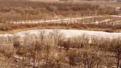 Drone Riparian Forrest and Oxbow