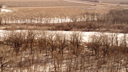 Riparian Forest 2