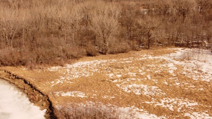 River Bank 1