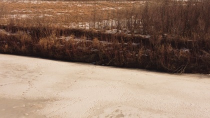 River Bank 3
