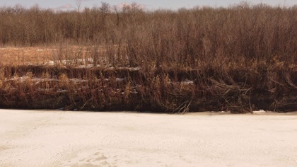 River Bank 5