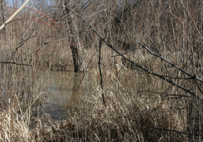 Oxbow End Channel Water 02