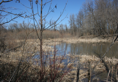 Oxbow End Channel Water 06