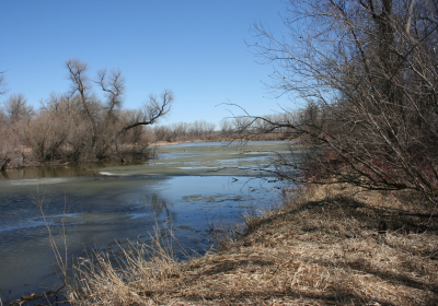 Eastern Riparian Forrest 16