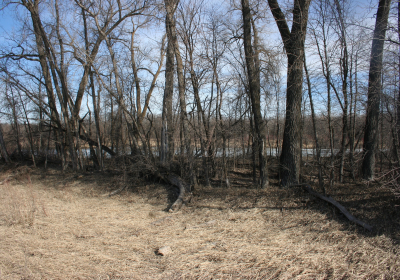 Highway Path 1