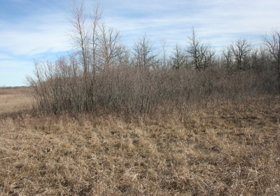 Access Trail 01