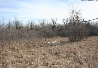 Access Trail 02