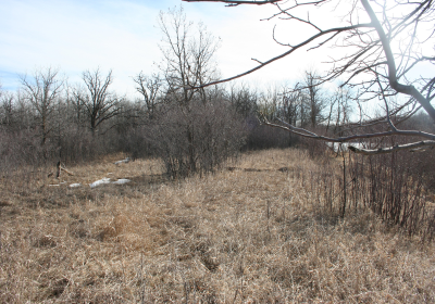 Access Trail 03