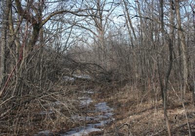 Access Trail 04