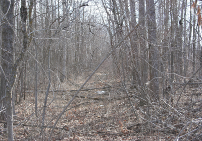 Access Trail 05