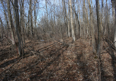 Access Trail 06