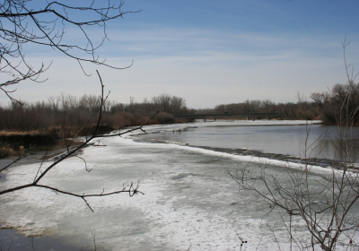 Riverbank 01