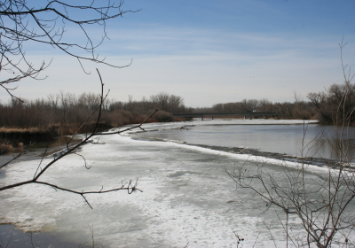 Partially Frozen River