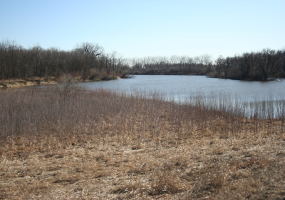 Oxbow South 03