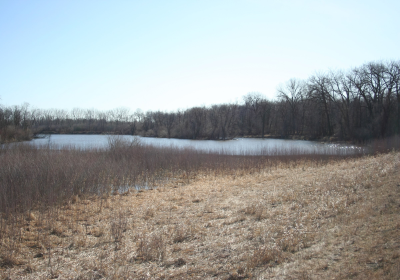 Oxbow South 04