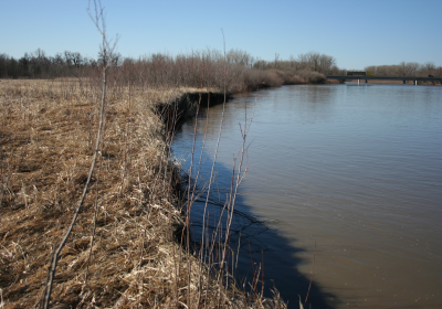 Riverbank 01