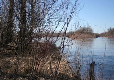 River 01