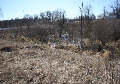 Oxbow South 05