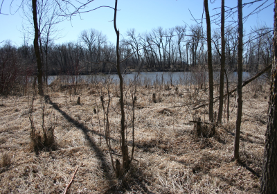 Oxbow South 06