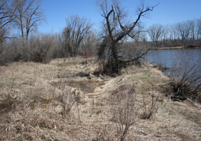 Oxbow West 01