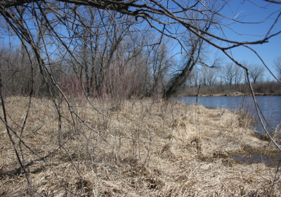 Oxbow West 02