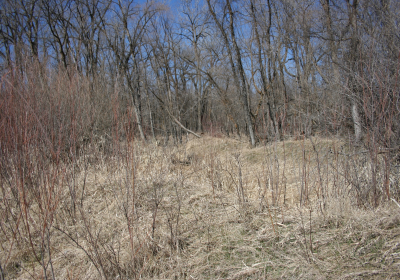 Oxbow West 04