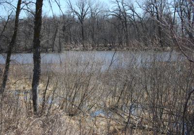 Oxbow South 07