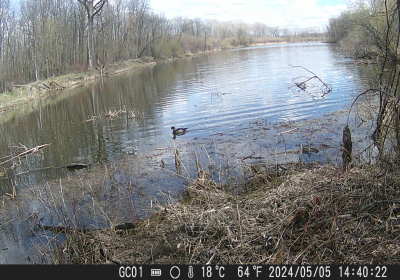 Oxbow North Time Lapse 04272024