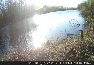 Beaver Crossing