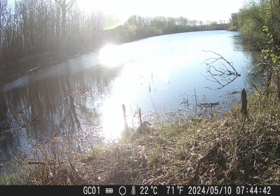 Beaver Crossing 02
