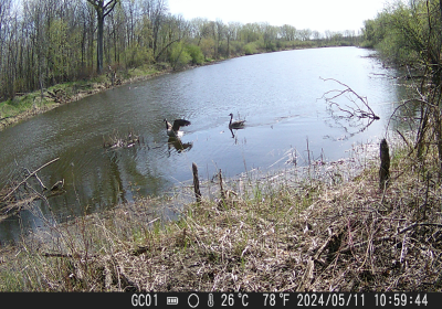 Oxbow North Time Lapse April 2024