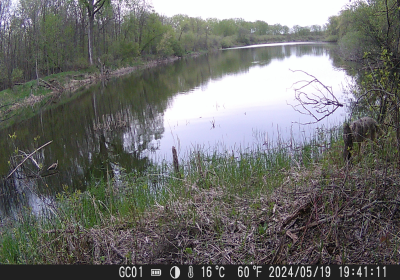 Oxbow North Time Lapse May 2024
