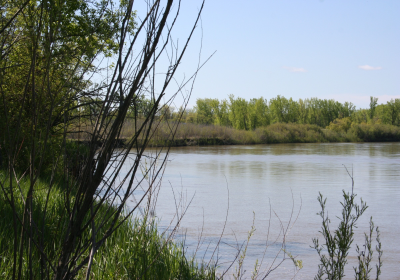 River Bank 01