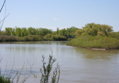 River Bank 02