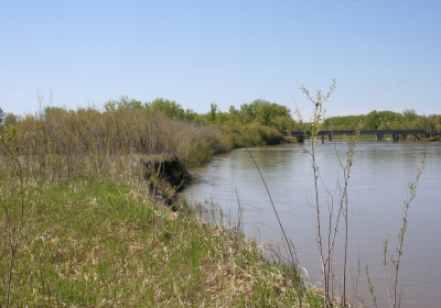 River Bank 05