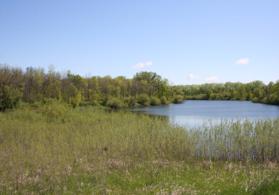 Oxbow South 03