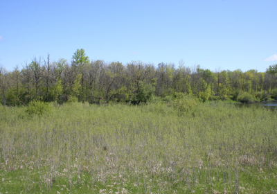 Oxbow South 04