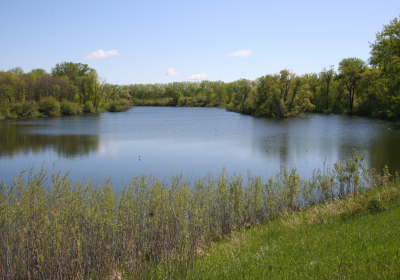 Oxbow South 05