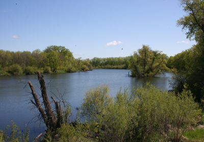 Oxbow South 06