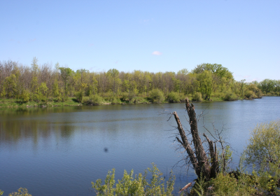 Oxbow South 07