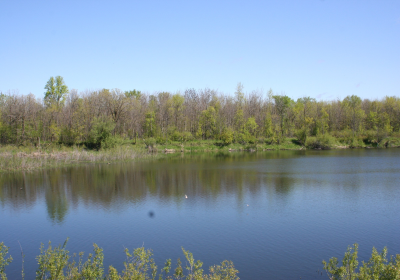 Oxbow South 08