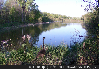 Oxbow North Timelapse 04222025