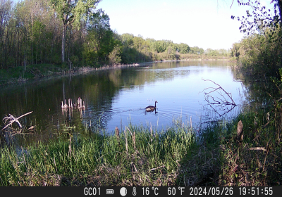 Oxbow North Timelapse 04212025