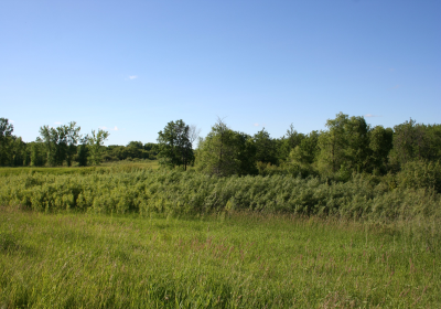 Oxbow South 05