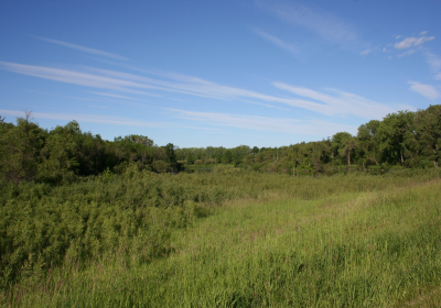 Oxbow South 06