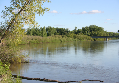 River Bank 01