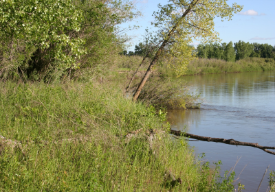 River Bank 02