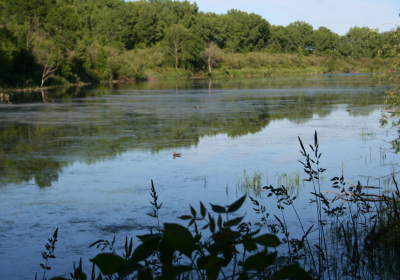Oxbow North 01