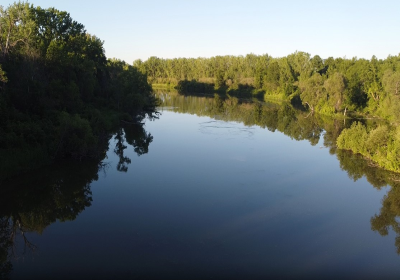 Oxbow South Riparian Forrest